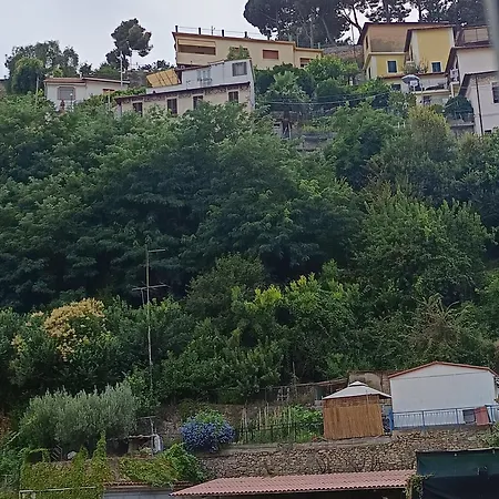 Baladi Monolocale In Centro Sanremo