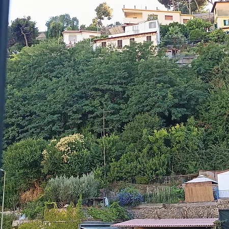 Baladi Monolocale In Centro 아파트