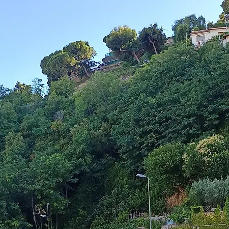 Baladi Monolocale In Centro Sanremo