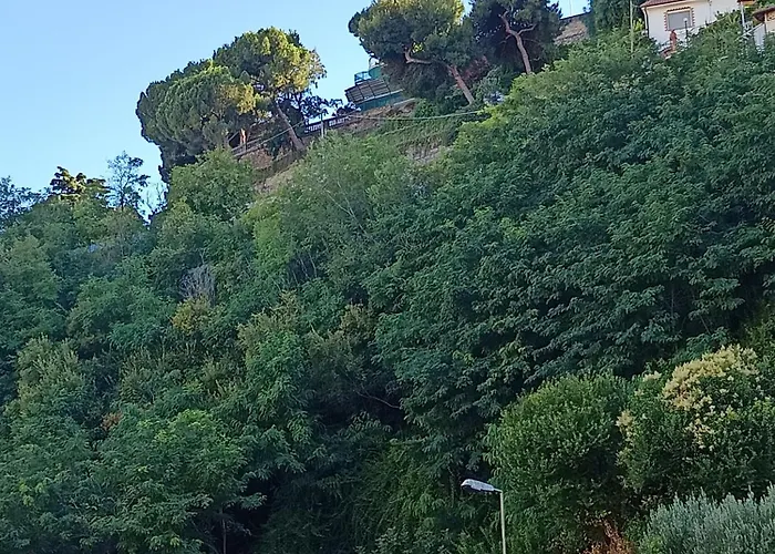 Baladi Monolocale In Centro San Remo