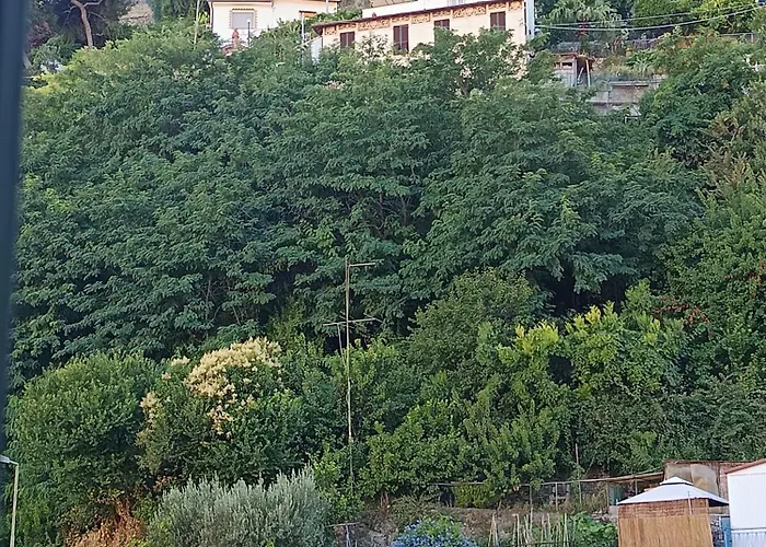 Baladi Monolocale In Centro Apartamento